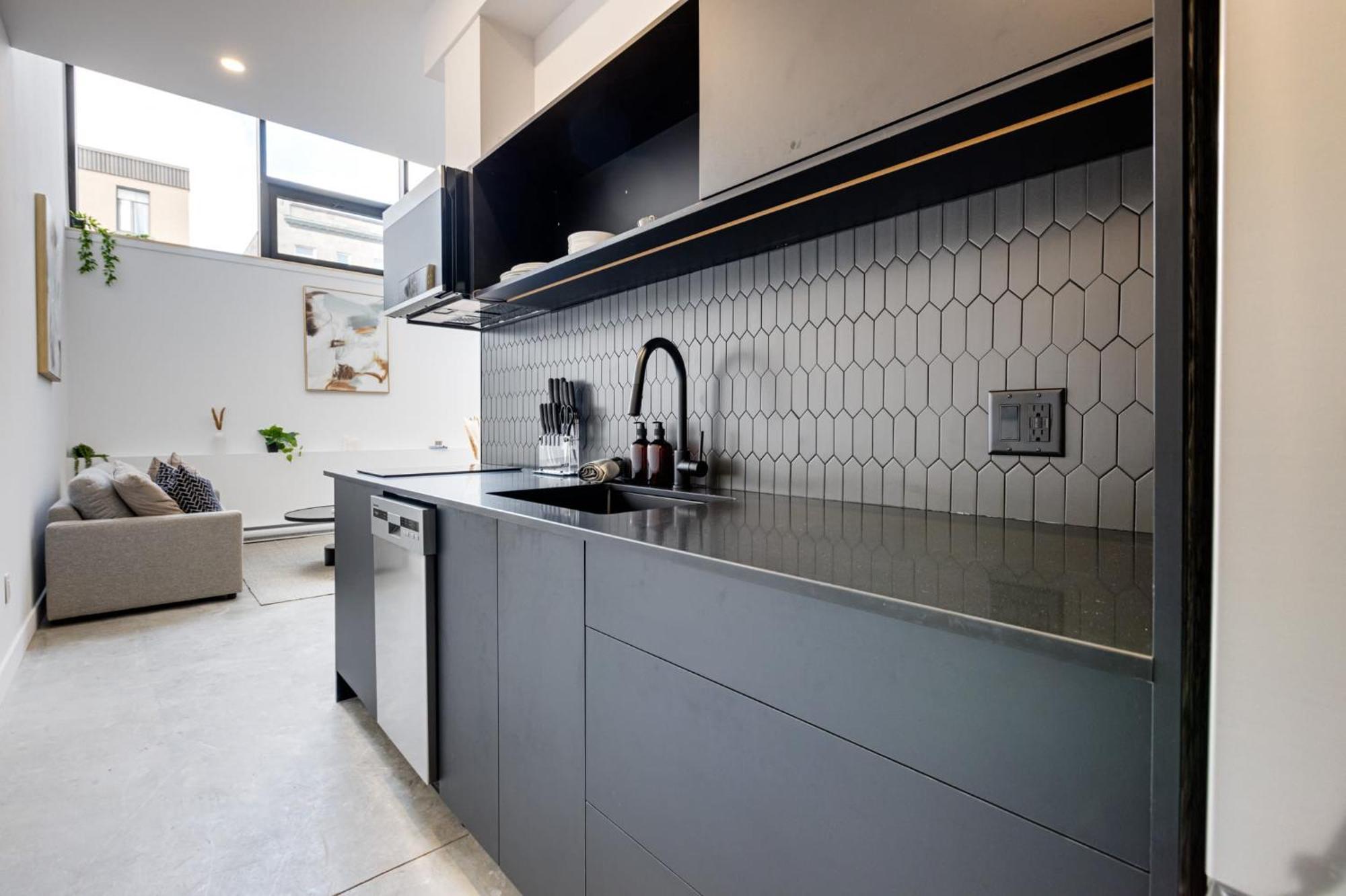 Apartment New Luxury 2bdr Unit With Sofabed In Mile End - 1d Montreal